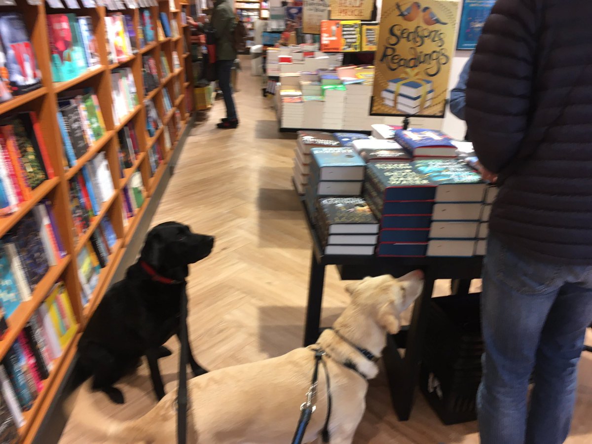 Signing a few more books today. They weren’t even our books - just any books that were lying around. Chased out of the shop shortly after these photos.