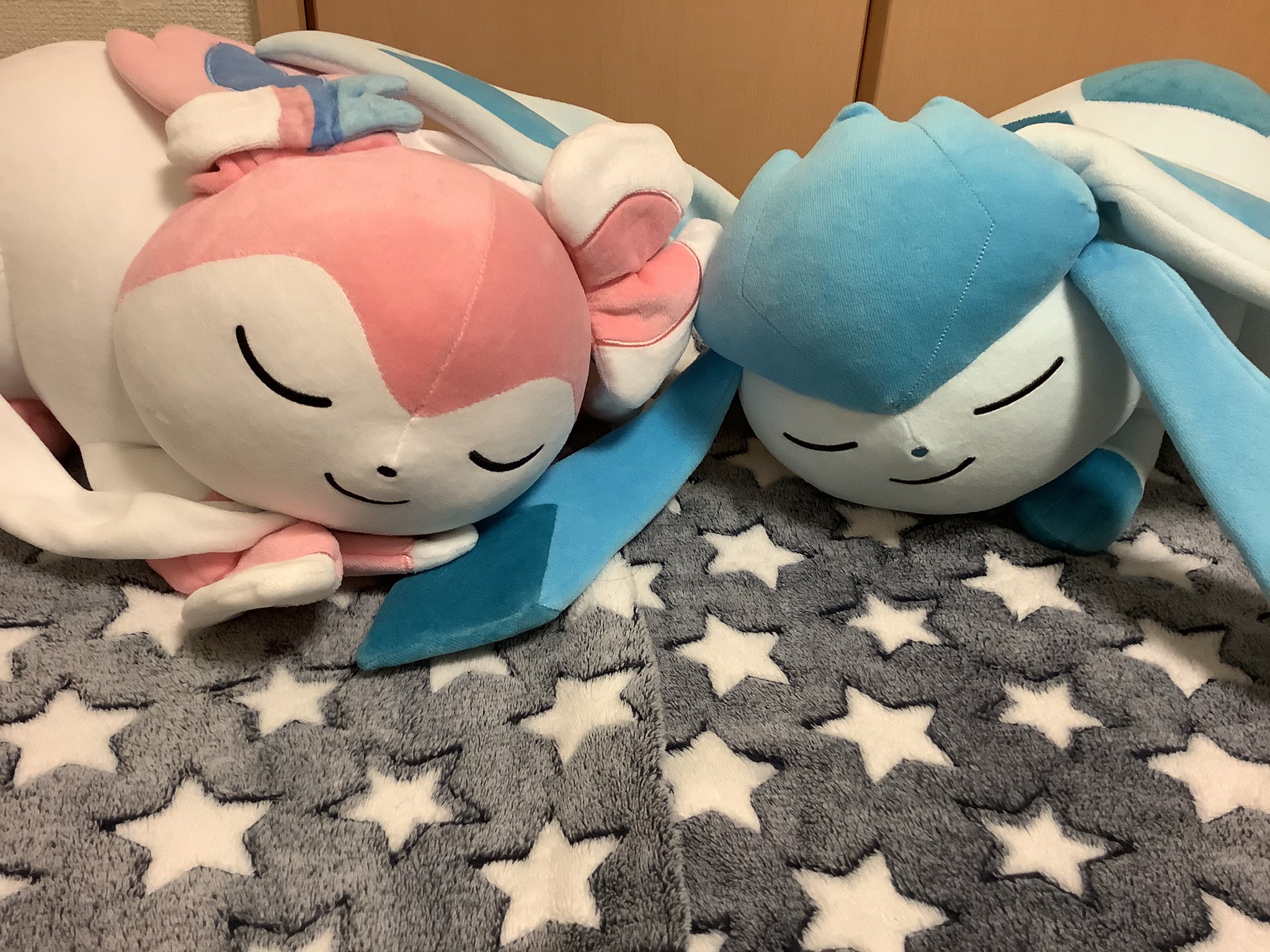 灯光 あかひか すやすやぬいぐるみ やっと うちにも仲間入り すやすやリフィグレニン すやすやニンフィア すやすやグレイシア すやすやリーフィア うーん もうたまらない かわいいっ ポケモン ブイズ