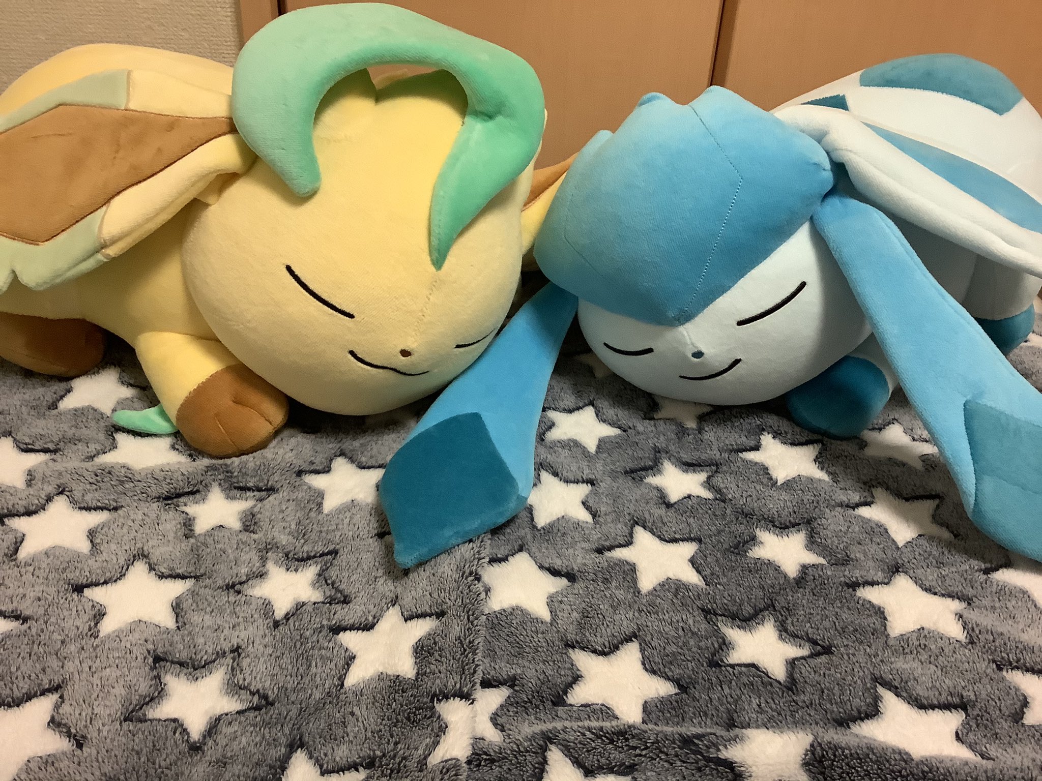 灯光 あかひか すやすやぬいぐるみ やっと うちにも仲間入り すやすやリフィグレニン すやすやニンフィア すやすやグレイシア すやすやリーフィア うーん もうたまらない かわいいっ ポケモン ブイズ