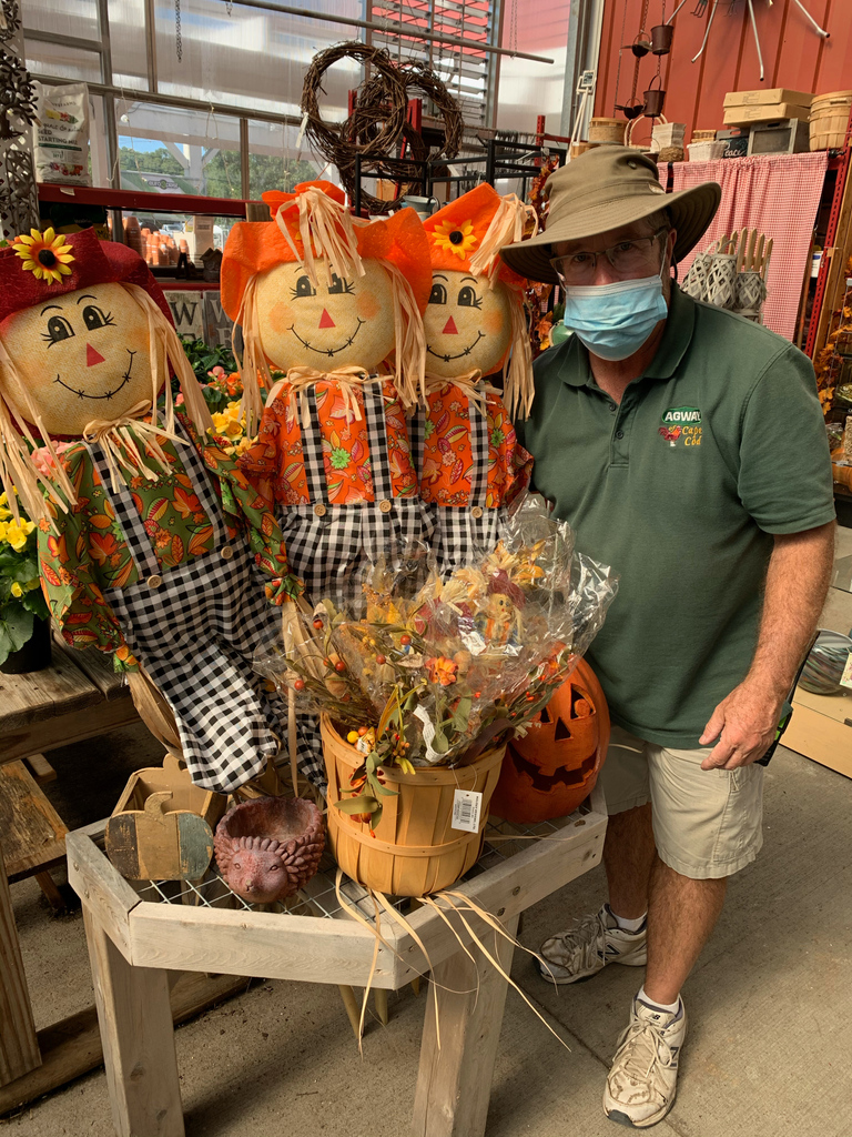 CapeCodAgway's tweet photo. Have you been waiting to decorate your house for fall and carve your pumpkin? Wait no more! Pick up your pumpkin today and post your work in the comments. Can't wait to see your pumpkins! 🎃 https://t.co/3ShAMDvUHe