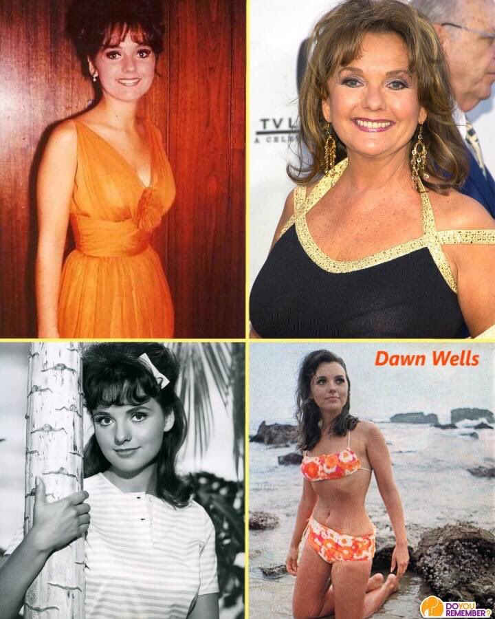 Happy birthday, Dawn Wells! 

Mary Ann from GILLIGAN\S ISLAND is 82 today!  