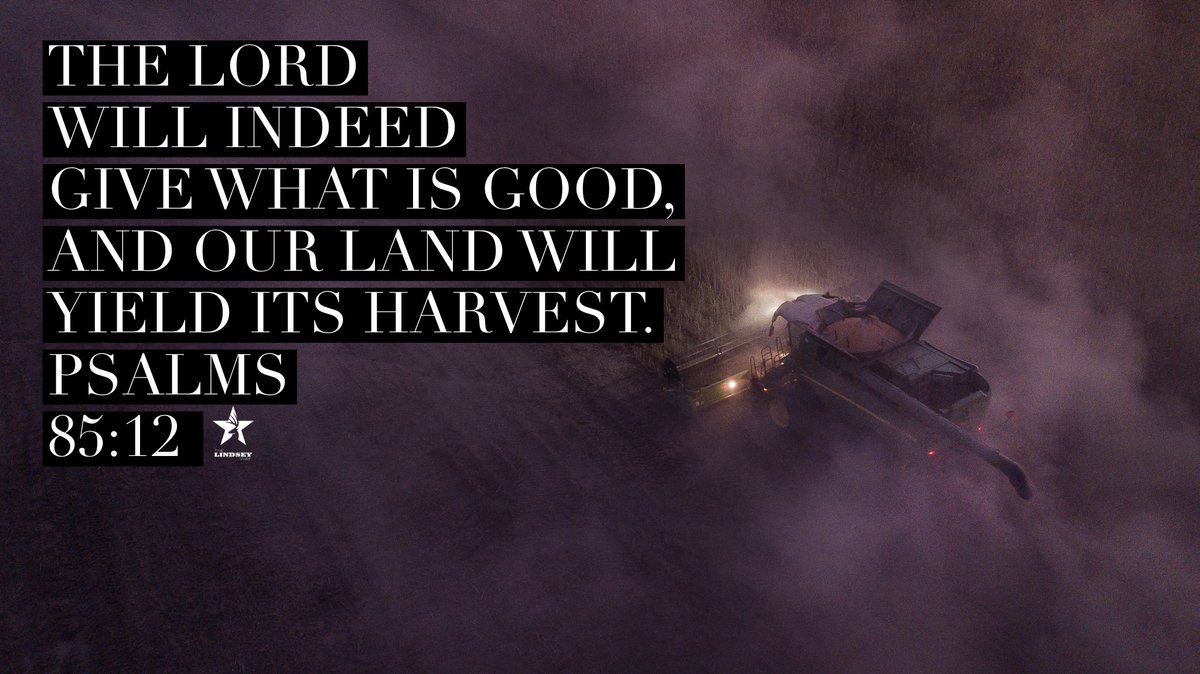 The Lindsey Way tweet media