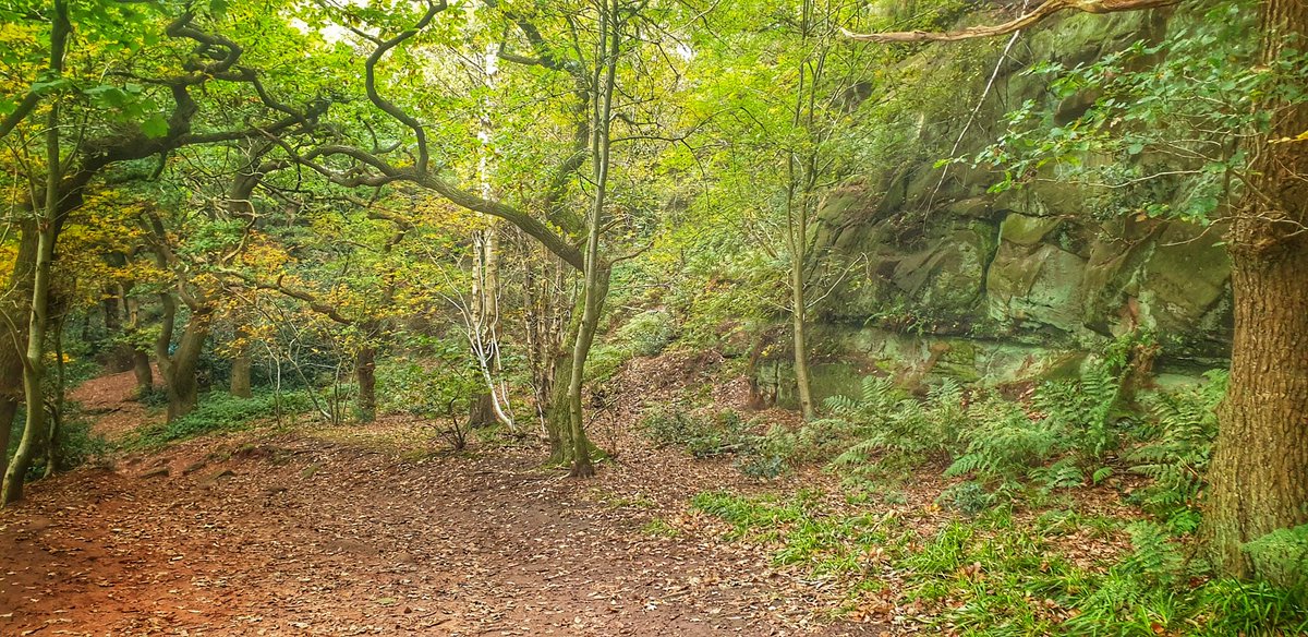 saracrosland's tweet photo. Trail running today. Felt like crap. Not sure I'll ever get used to my body letting me down. It really annoys me. Heading home now to chill and read this motivational book. 🥴
#Running #Explorin #FitnessJourney #Endurance #TrailRunning #Trails
#NoLimits
#SickbedToSummits https://t.co/C8imGiVG7E