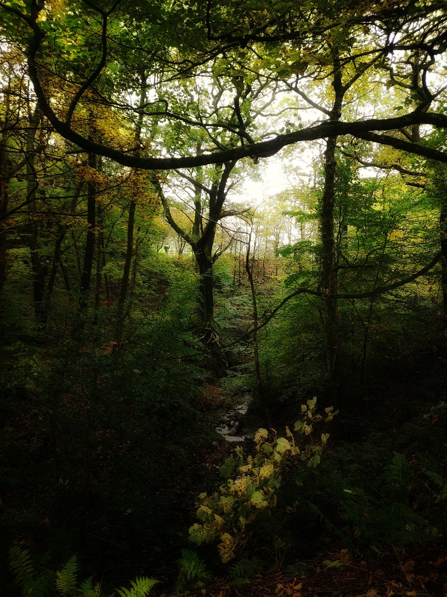 Viperia Images (@viperiaimages) on Twitter photo Lovely walk around #Rivington this morning <a href="/ThePhotoHour/">#ThePhotoHour</a> <a href="/StormHour/">#StormHour</a> <a href="/LancashirePics/">Pictures of Lancashire</a> #sundayvibes Lovely walk around #Rivington this morning <a href="/ThePhotoHour/">#ThePhotoHour</a> <a href="/StormHour/">#StormHour</a> <a href="/LancashirePics/">Pictures of Lancashire</a> #sundayvibes