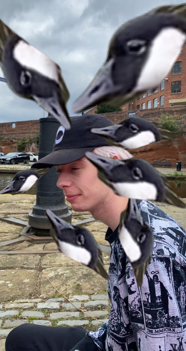 Sam (a thread) https://twitter.com/silverfox...