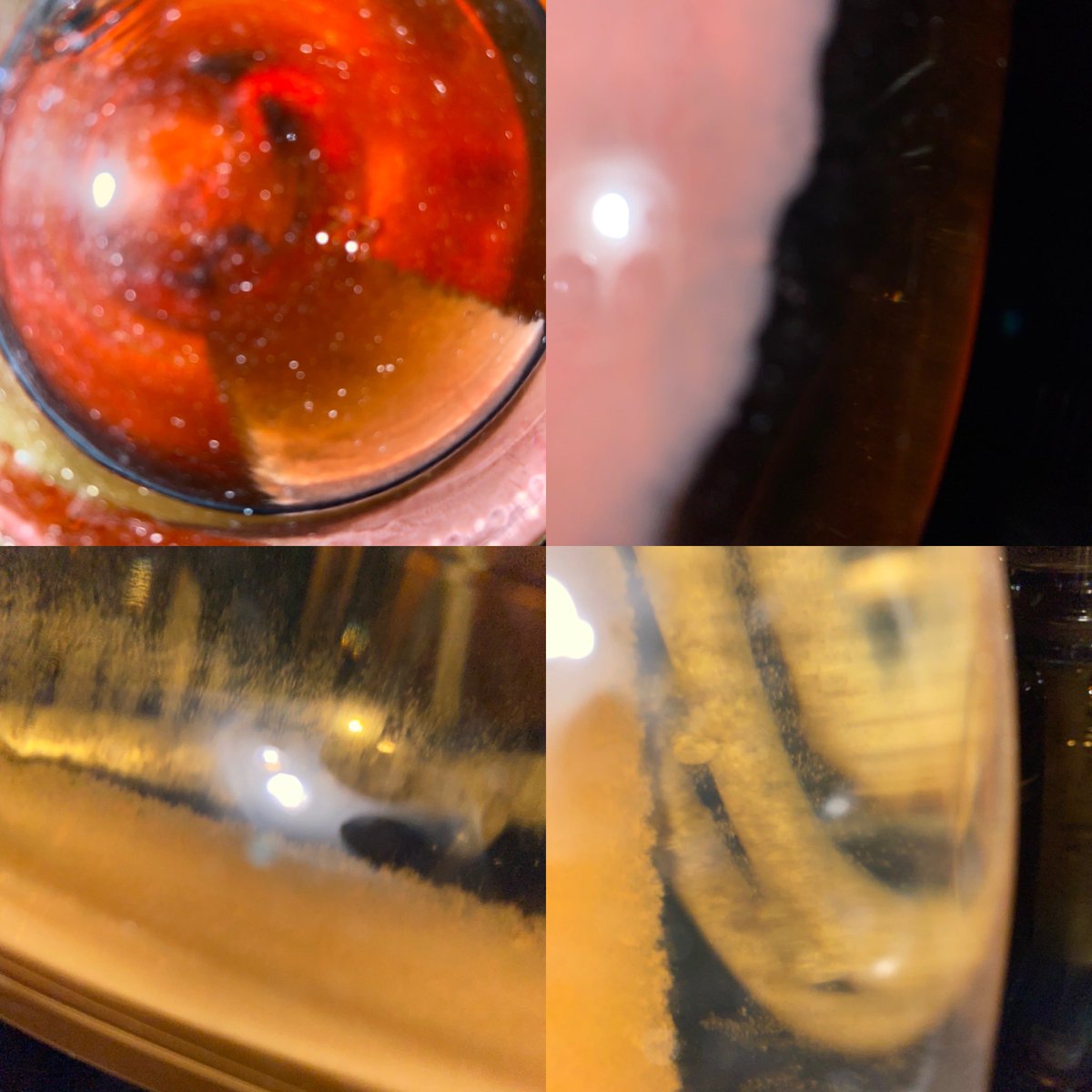 Autolysis, autolysis.... #InPursuitofTaste -JBL