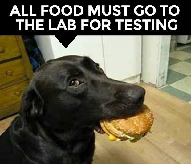 Meanwhile in Canada (@meanwhileincana) on Twitter photo 