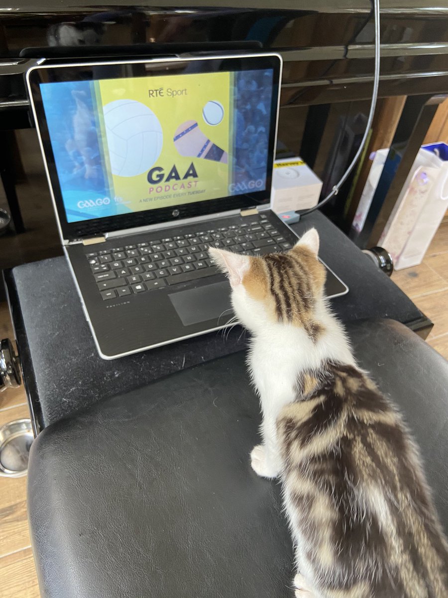 RachelAlfred97's tweet photo. #GAAGO @GaaClare 🟡🔵 https://t.co/YBxjyLshKJ