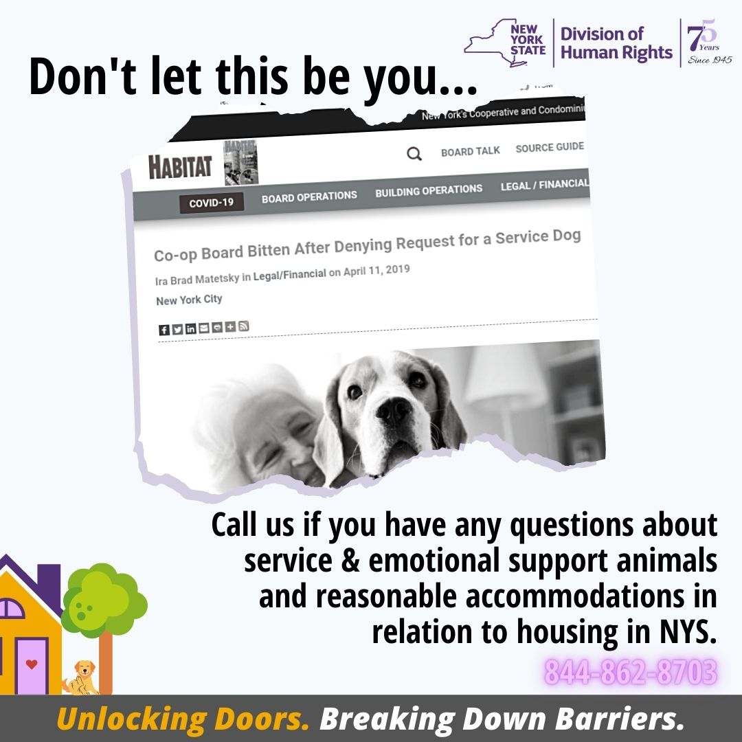 NYSHumanRights's tweet image. We are available to answer your questions, call our Fair Housing Hotline at 844-862-8703. 

#fairhousingmattersny #unlockingdoors #breakingdownbarriers #NY4FairHousing

dhr.ny.gov/fairhousing