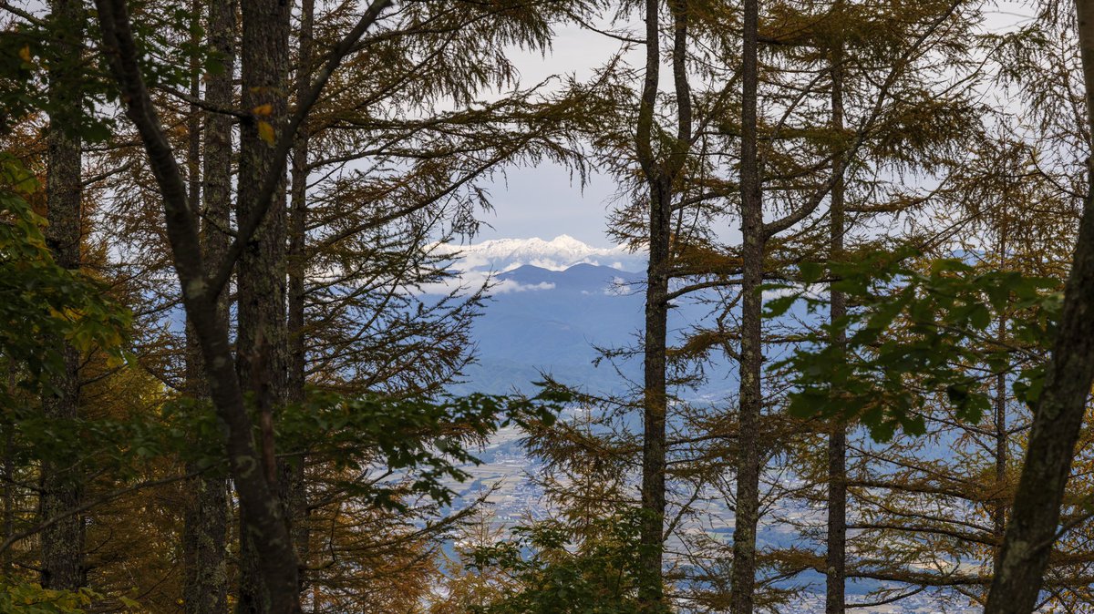 dchansinsyu's tweet photo. 今日はドライブで中央アルプスの山中に🚗
昨日の雨で山頂は雪化粧🏔
紅葉とのコラボレーションが素晴らしい✨
超望遠を持ってくるべきでした😭

#lumixS1 
#sigma2470DGDN
#写真好きな人と繫がりたい 
#南信州 
#紅葉2020 https://t.co/qcfaR2Wd5u