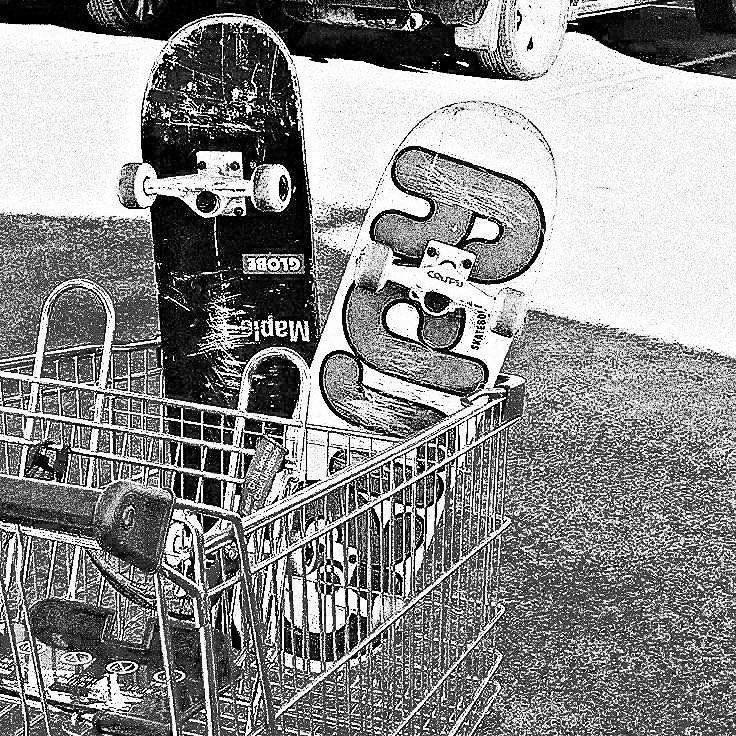 ᚐ𓊪 ˙  x̸  ⸝ ( 𝕵 ╸QUINN ) ˑ 𓈒 ลฟตท * 🐺 𓏸