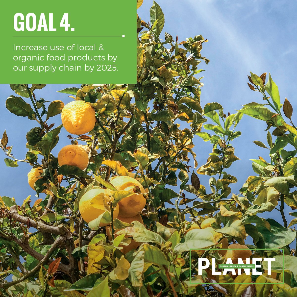 Part of a great travel experience includes great food. At Lion World Travel, we take pride in knowing our partners offer great meals, full of locally sourced foods. 

Learn more about this 4th Goal of "How We Tread Right" and address local food production ttc.com/how-we-tread-r…