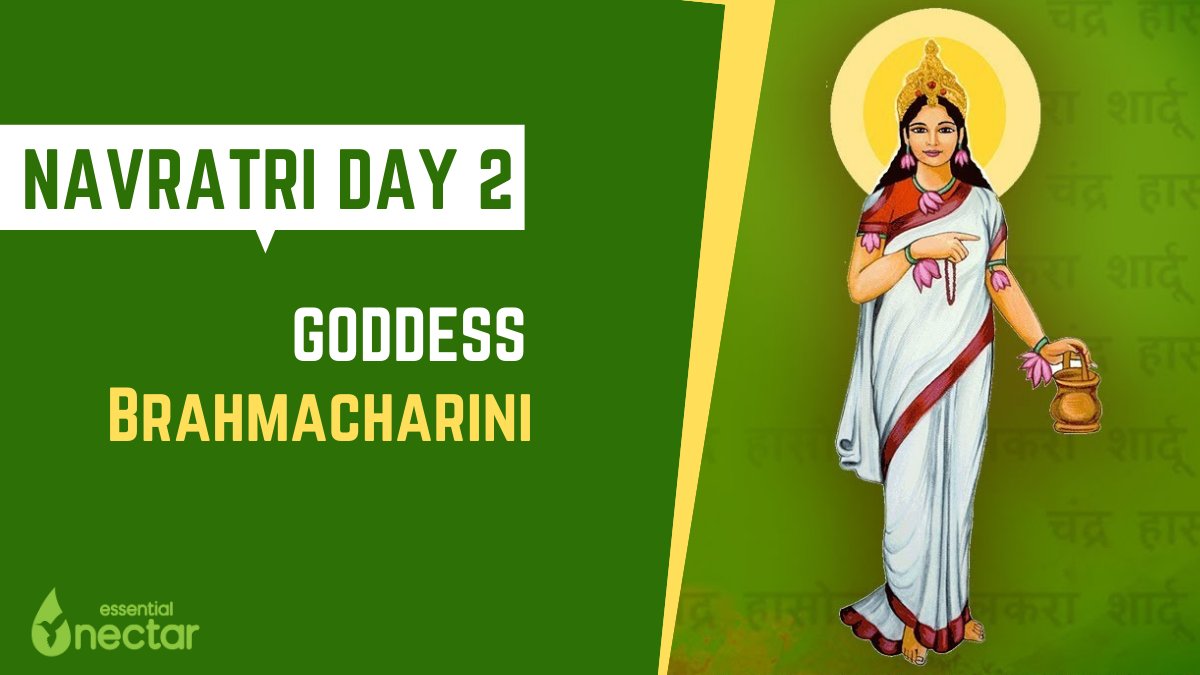 essentialnectar's tweet image. #virgincoconutoil
#essentialnectar
#buylocal
#navratri

Navratri Day - 2
BRAHMACHARINI

essentialnectar.com
Ph: +91 9513303399.