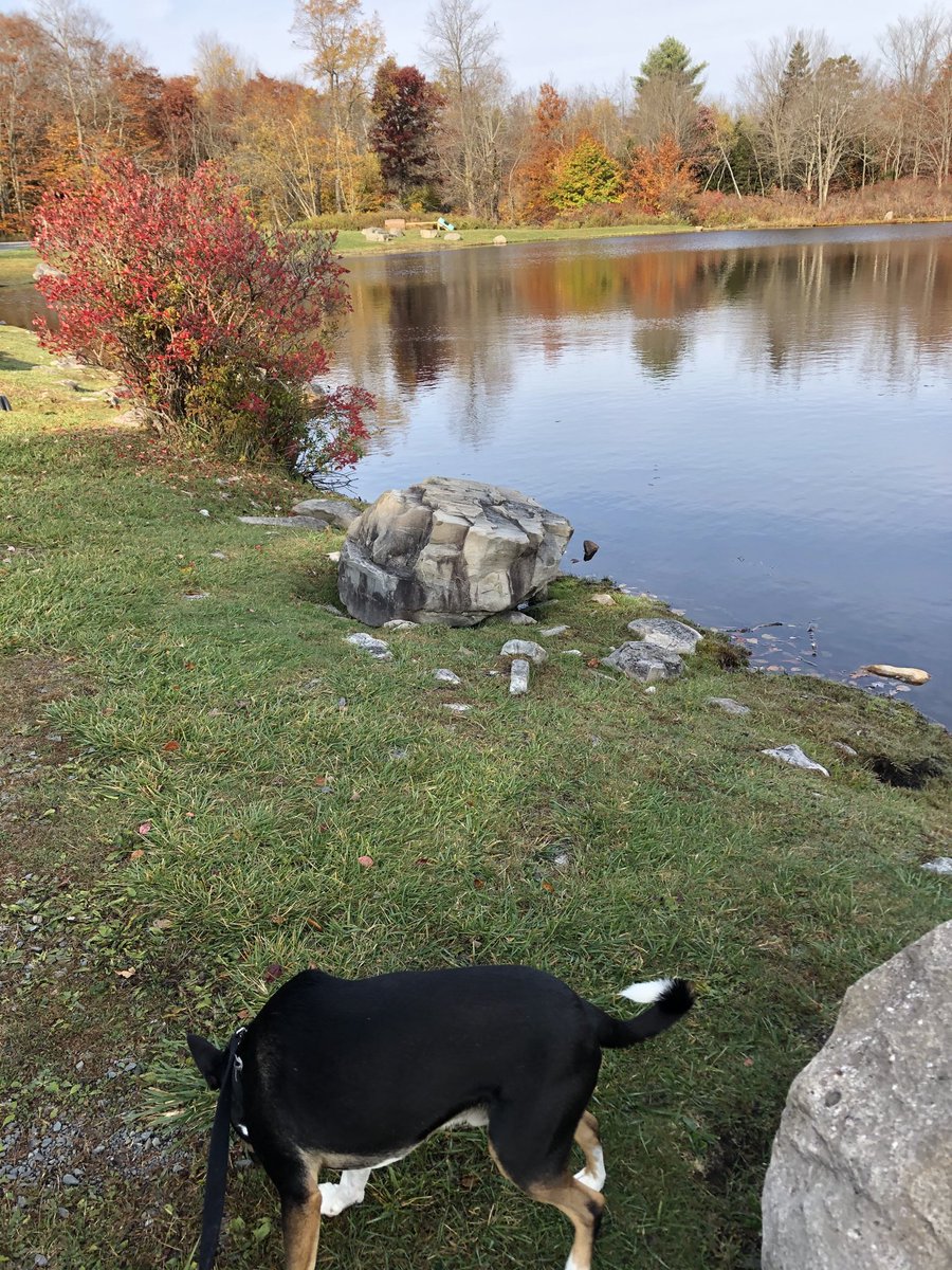 sashab70's tweet photo. Great morning to get outside and clear my head. https://t.co/6Eoi96xdJt