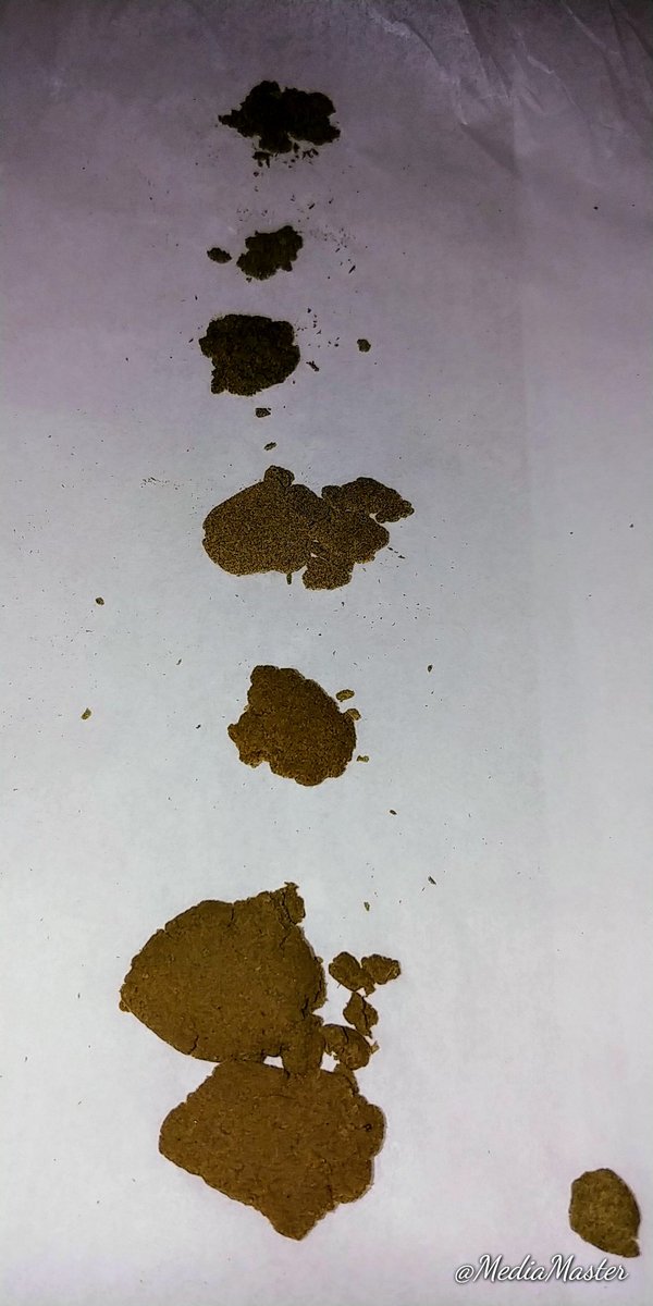 MediaMaster007's tweet photo. Yesterday I made 5.2 grams of dry sift hash ( in my hand ) from trichomes out of my trim bin, then I made 6.8 grams of water hash using my Zen Hydro 7 bag kit from sugar leaf. The dry sift is absolutely amazing, tastes , smells and hits you just like hash from the 80's. #ZenHydro https://t.co/wsRdSxYv37