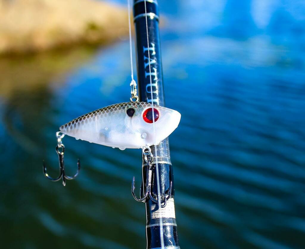 Lookin4FishNC's tweet photo. Know the size of the baitfish that are in you ponds/lakes/rivers. I noticed the smaller forage in this pond after throwing a 1/2 oz lipless. I switched to the 1/4oz and the bites picked right up. This @strikekinglurecompany was a perfect option! 
.
.
Rod… https://t.co/UDIaXjMCOp https://t.co/VYg0gz4EAL