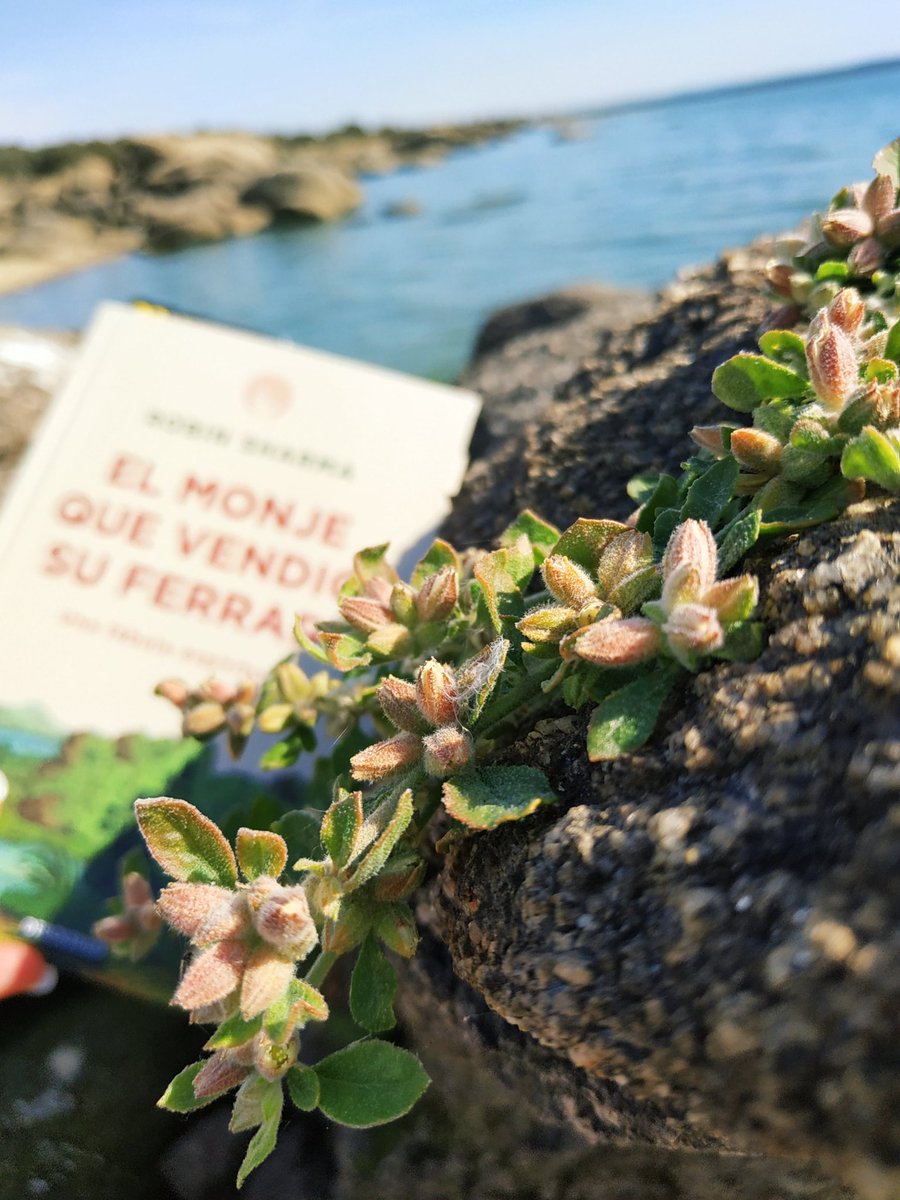 rox_gr's tweet photo. "En todo hay una lección que aprender. Estas pequeñas lecciones estimulan tu mundo interior y exterior. Sin ellas no podrías avanzar. Aplícalo a tu vida actual. La mayoría de la gente ha sacado lo mejor de sí misma a través de las experiencias más sugestivas y difíciles." https://t.co/LXjJ91GJhI