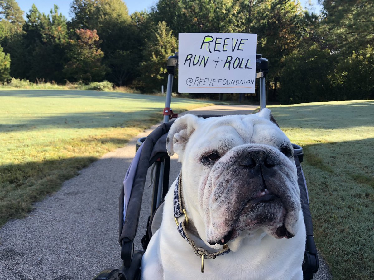 TheNatureNurse's tweet photo. Join us in supporting #TeamReeve this week in their first virtual Run &amp; Roll!
Learn more @ReeveFoundation 

#paralysis #RunForSomething https://t.co/j2kMPqwaaS