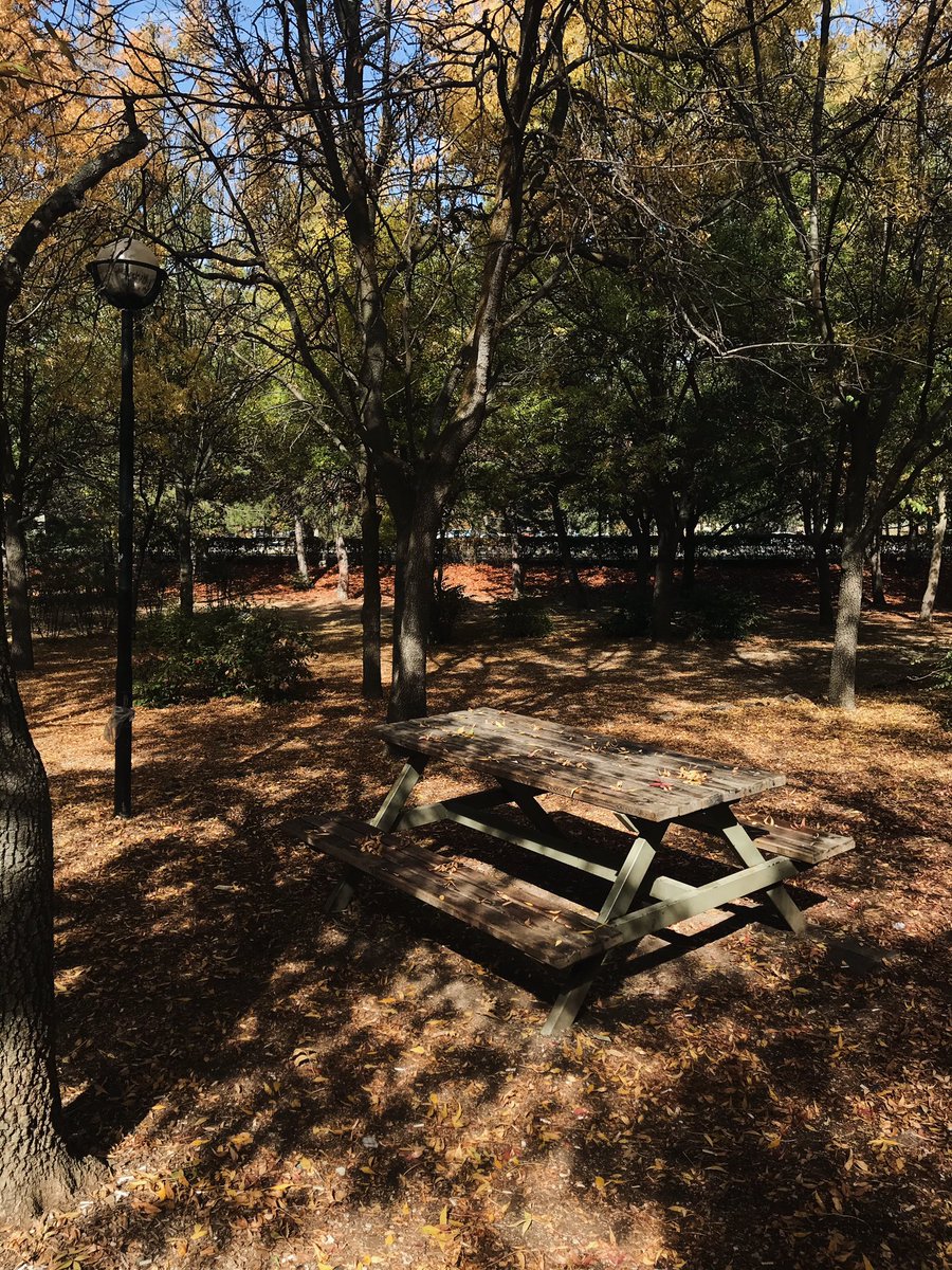 Yine kendimi okula attım🍂