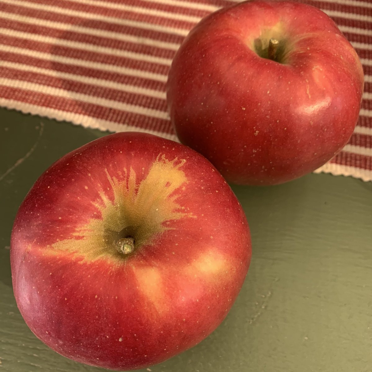 Spigold, 1962 NY - northern spy x golden delicious, with the best qualities of both (and better than both). I was VERY pleasantly surprised by this big chonker - crisp and juicy with a sweet but complex wallop of FRUIT PUNCH flavor  8.5/10