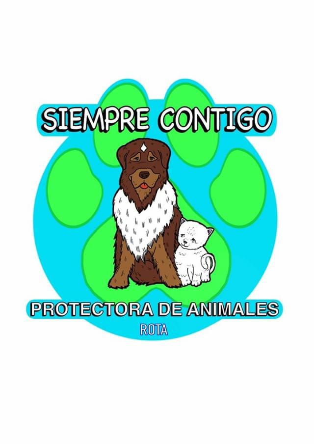 Hola despues de varios años inactivo volvemos de nuevo para darle vida a la cuenta y visibilidad a nuestros peluditos y nuestra labor. Iremos actualizando poco a poco , para todo aquel que sea amantes de los animales y quiere ayudarnos a difundir o colaborar.