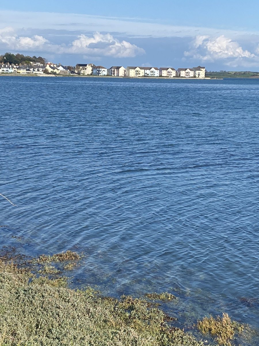 Robval04's tweet photo. Dundrum Bay, Co Down today. 🌞. https://t.co/PzF1QZduSk