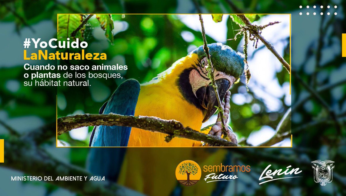 MAATE_Zonal10's tweet photo. #YoCuidoLaNaturaleza | Los animales silvestres cumplen un papel fundamental en la naturaleza. #JuntosEcuador https://t.co/h02PUxVBhV