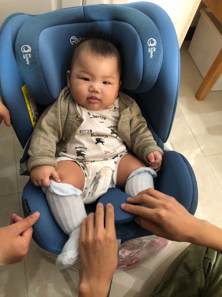 reebaby swan car seat