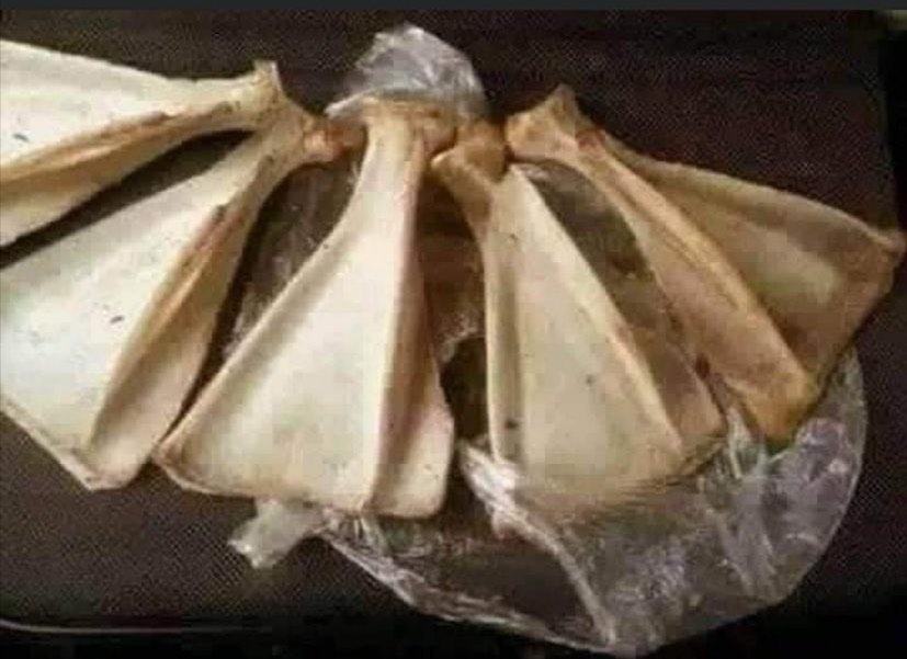 Цагтаа 200/570 тай байлаа.