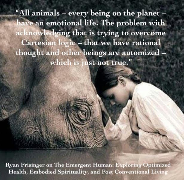 mostrolenk's tweet photo. Kosmic Animal with @kosmicanimal  https://t.co/IWydP5QLpY . Ostrolenk and Frisinger discuss the complex relationship of humans and animals on #TheEmergentHuman podcast  #ReThinkEverything #PostConventional https://t.co/wGDR6QU2Ed