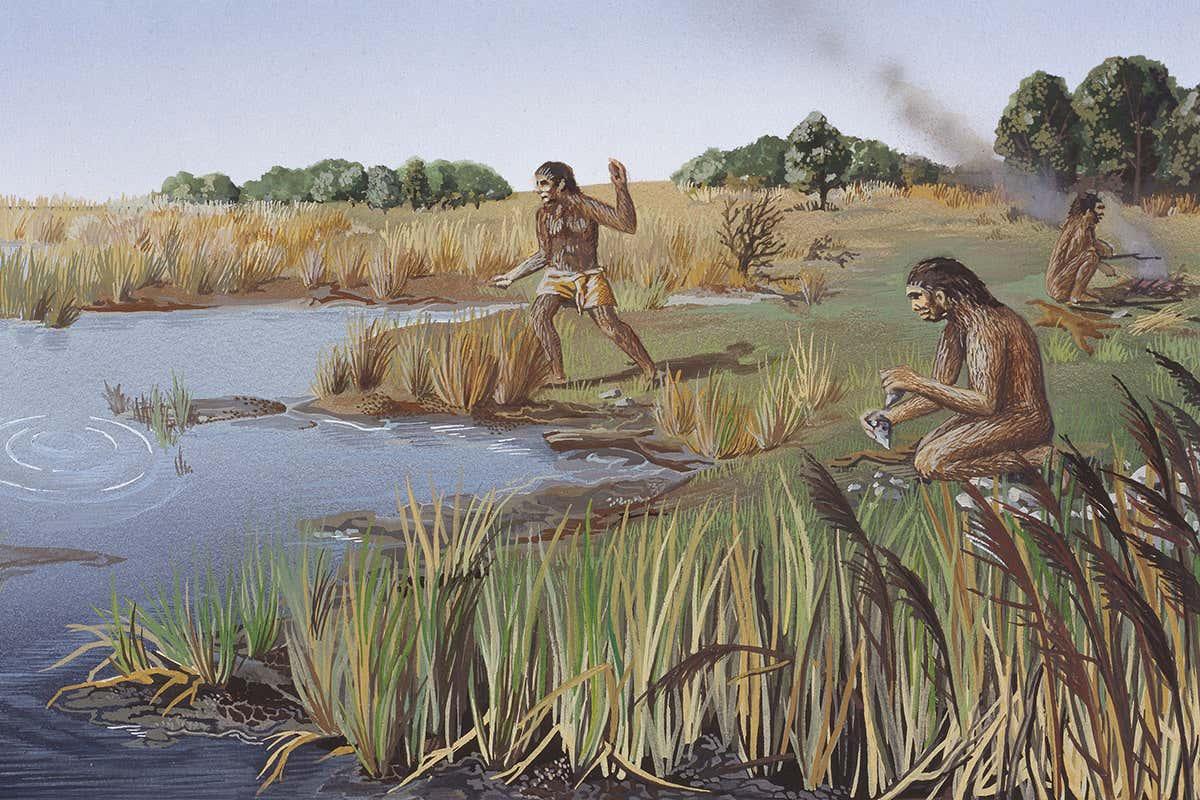 newscientist's tweet photo. Climate change may have driven early human species to extinction https://t.co/aWrP9JYKpA https://t.co/YnqQQEtP3Z
