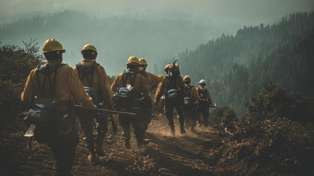 USNavy's tweet photo. #USNavy Sailors &amp; @USMC Marines maintain a fire line during firefighting operations near the Shasta-Trinity National Forest in Northern California. @USNorthernCmd remains committed to providing @DeptofDefense support to protect people, property, and lands. https://t.co/NDZnf5HALB