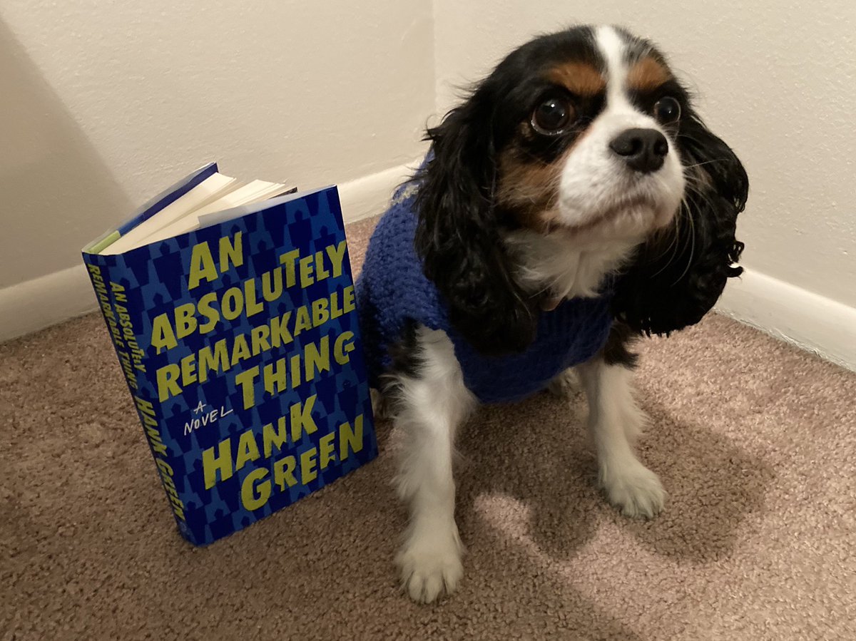smith3elizabeth's tweet photo. She’s a bit late, but Luna wanted to try the “book covers as outfits” trend 💛 https://t.co/7ZMfrveQFR