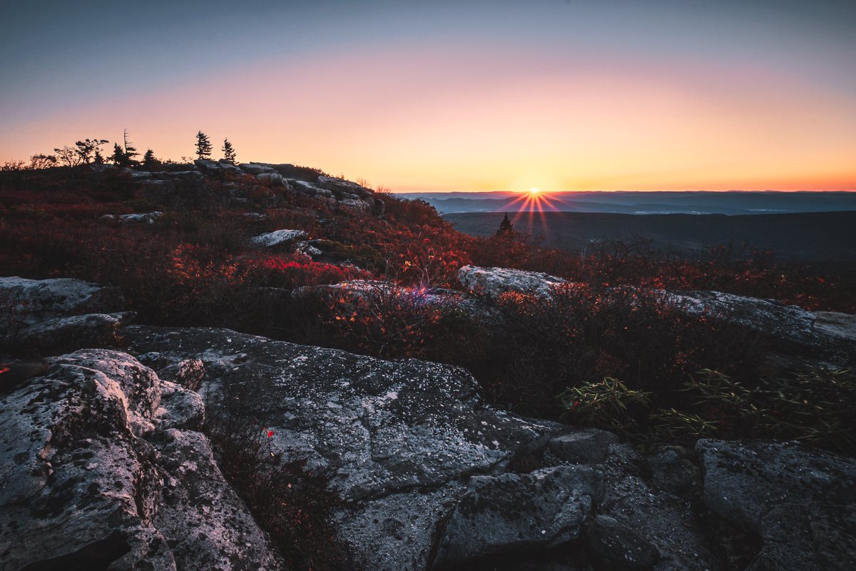 bryanminear's tweet image. And then the morning came.