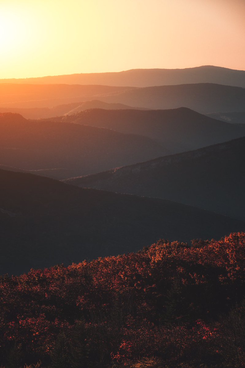 bryanminear's tweet image. And then the morning came.