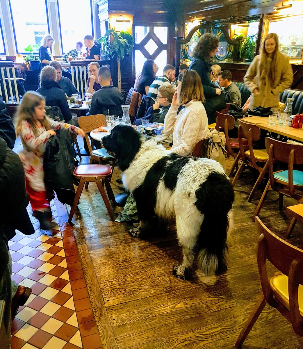 EdinClinTox tweet media