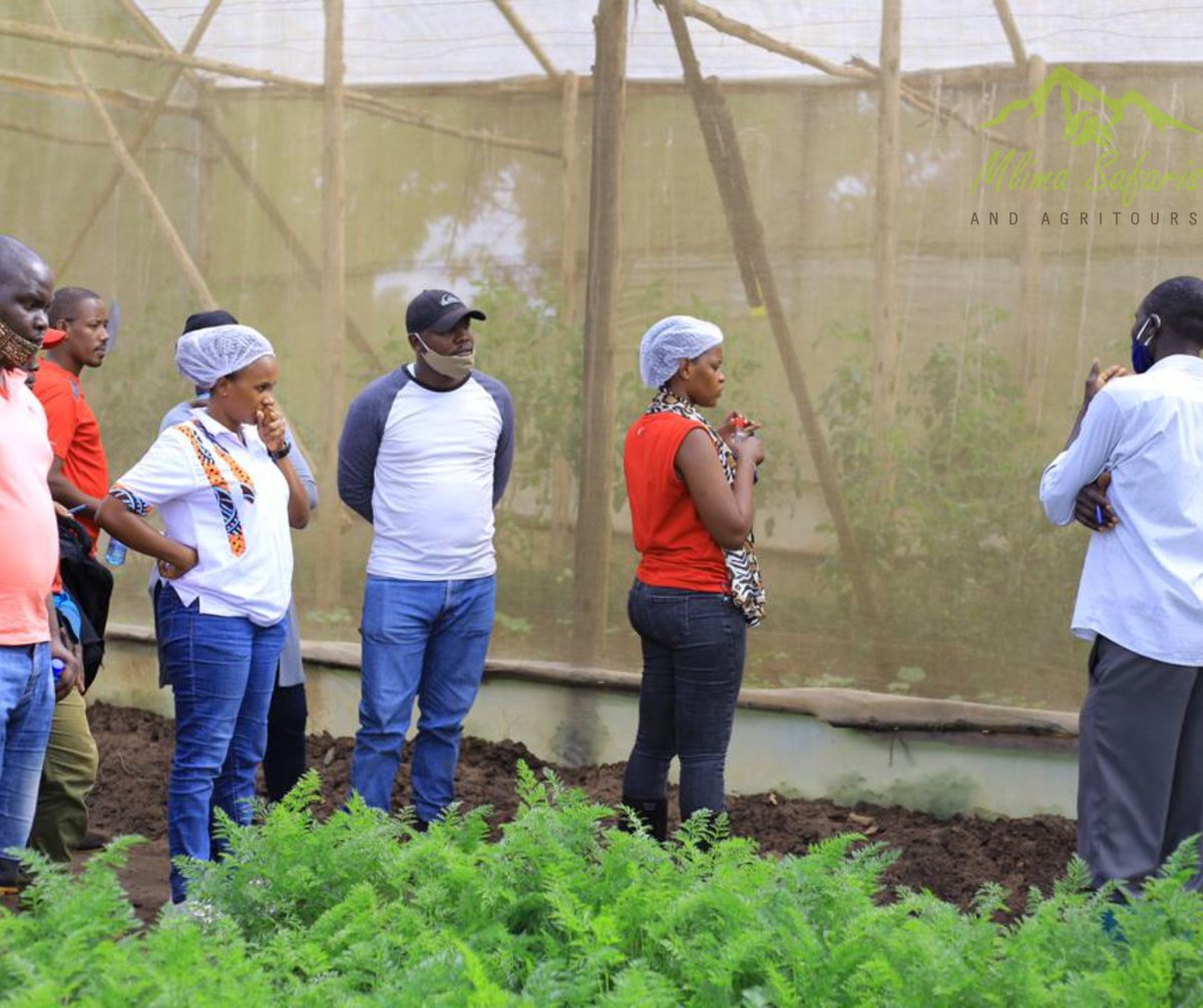 Yesterday was an exciting day in Luwero for an #AGRITOUR experience. Thank you to whoever joined us. We are glad you enjoyed and learned different farming techniques and opportunities.
Enjoy these Agritour experiences with us. #UnajuaUganda @UgTourismBoard <a href="/eddykenzoficial/">Eddy Kenzo</a>