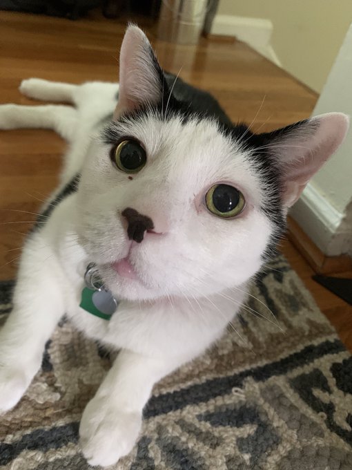 he said 👁👄👁 https://t.co/lsHRAsvFSD<a href="/tag/newprofilepic"class="tags"><span>#newprofilepic</span></a>