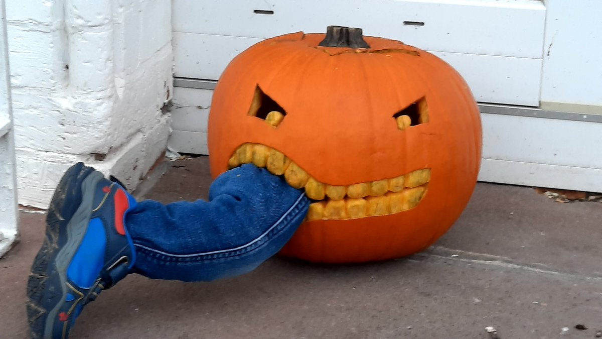 Sagt "Hallo Mr. Pumpkin"