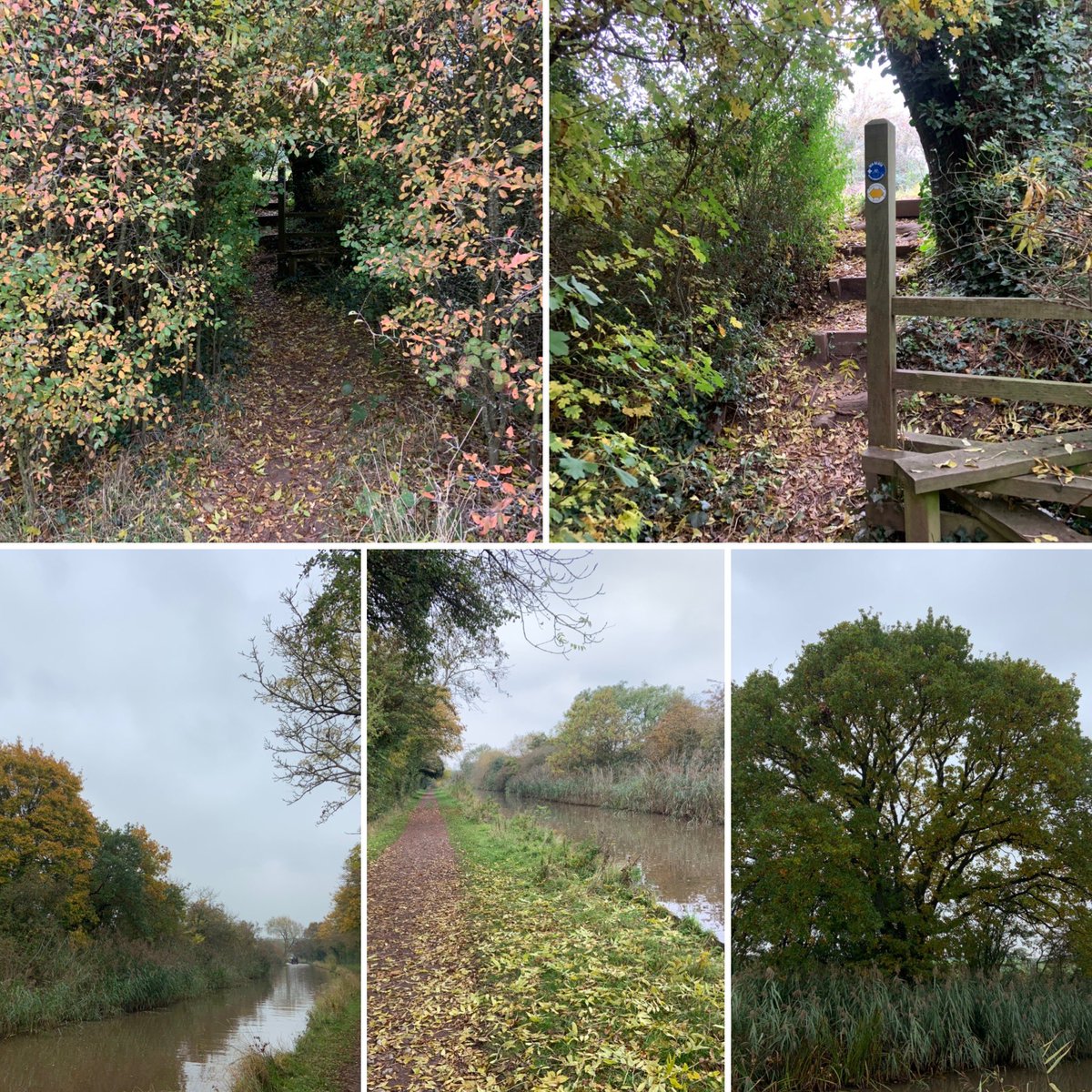 dimchurch's tweet photo. Another autumn walk and a late latte #theforgestudio #dunhampstead ππ βοΈβοΈππΆββοΈπΆββοΈπΆββοΈππ https://t.co/t39o4YiQgT