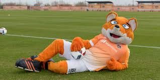 Mascots in Texas and AustinWe love our mascots in the Lone Star state. Both current Texas MLS teams, Houston Dynamo ( https://www.houstondynamo.com/ ) (Dynamo Diesel) and FC Dallas ( https://www.fcdallas.com/ ) (Tex Hooper), have well-established mascots.