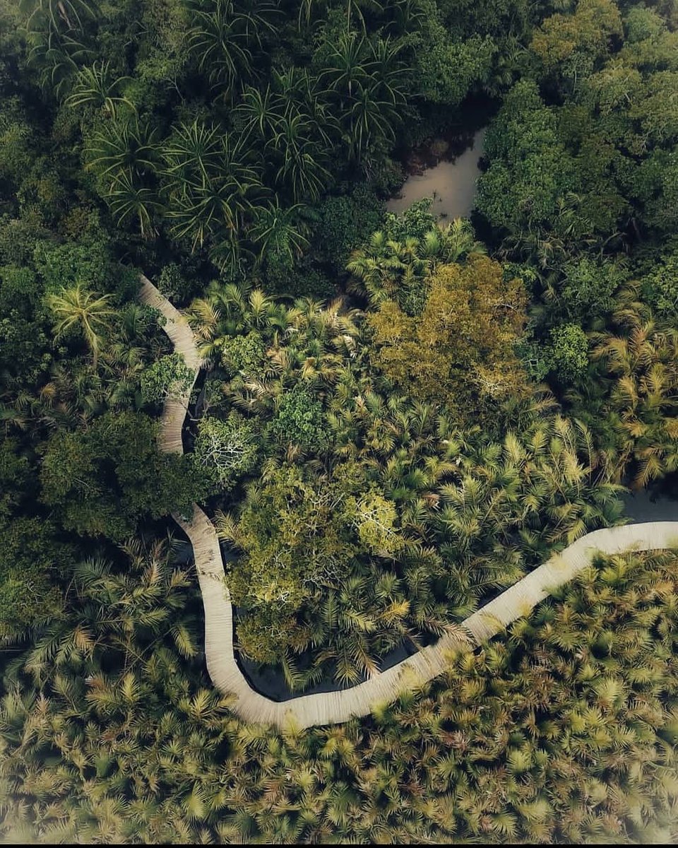 angkujempol's tweet photo. Ekowisata dan Edukasi Green Talao Park Nagari Ulakan
📸 IG kiddrock85 https://t.co/muGFMeGCHn
