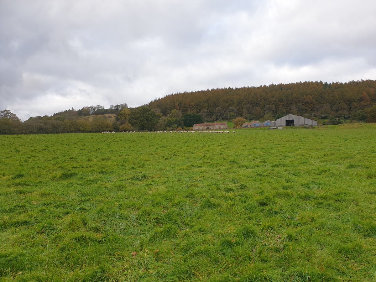Dale Head Farm (Lewis56098659) Twitter