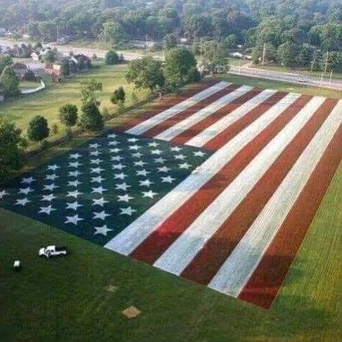 Cynthia J. Bieghler (@bieghlerj) on Twitter photo 