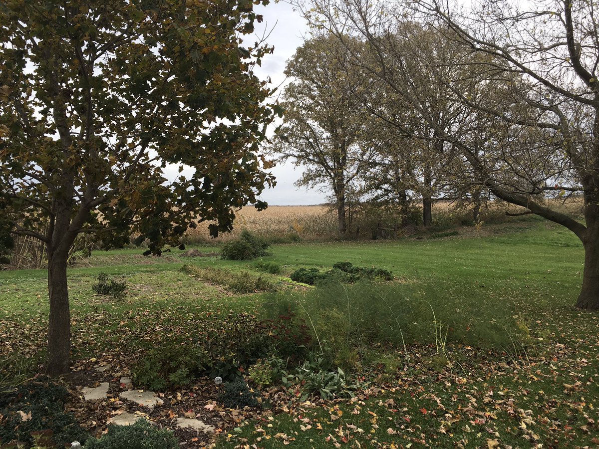 MarkC_289's tweet photo. Autumn colours from our decks.
#YardWorkOut https://t.co/xo9Ral1rVf