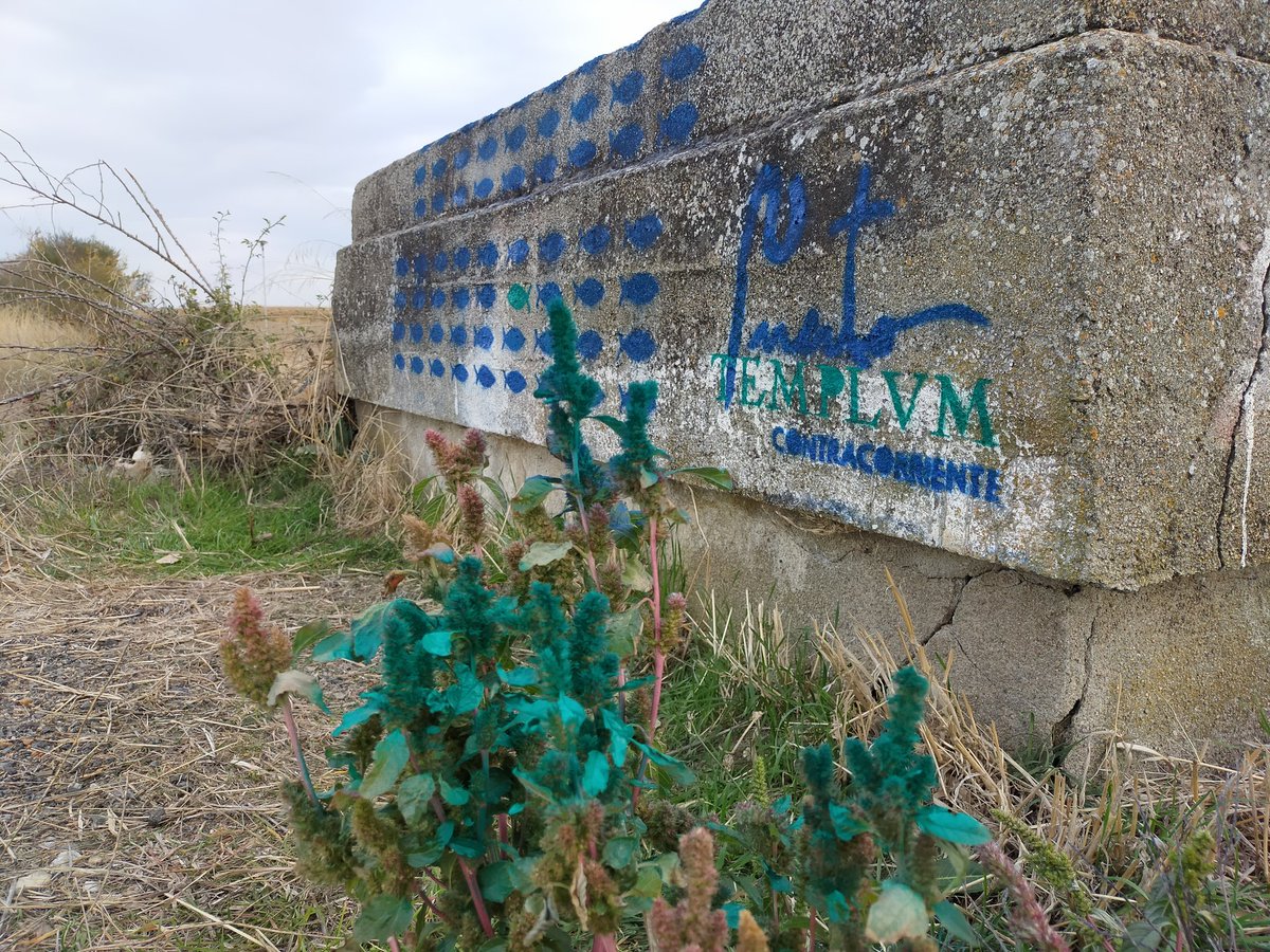 PuertoSierra's tweet photo. ...todos los caminos llegan a... 
#TemplvmAzudVillagonzalo
@Templvm
@PuertoSierra
#peces
40⁰56'21.7"N 5⁰30'42.1"W, Machacón, Salamanca.
https://t.co/VC2RFxRmVT
#ContraCorriente_Azud_026
#VientoaFavor https://t.co/KmjsOhRPuo