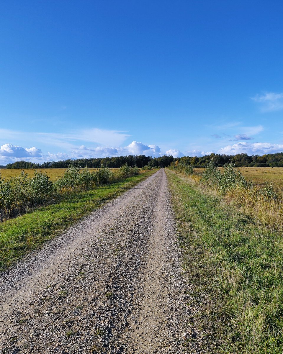 duncan_ng's tweet image. Joining the #nerdrun post with my half marathon time of sub 100. Not the greatest but it will do considering my lack of training for the last few weeks 😅