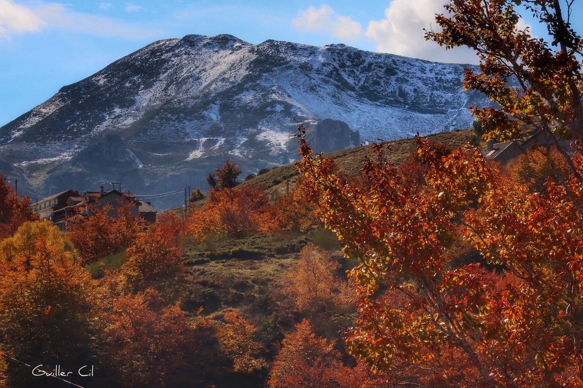 GuillerCil's tweet photo. Yo creo que puedo afirmar, sin temor a equivocarme mucho, que el fin de semana de la explosión del #otoño en los bosques asturianos ha sido este... 🍁🍃🍂😍
Tarna, @CasoRedes, 18/10/2020 https://t.co/DS1xGR17cc