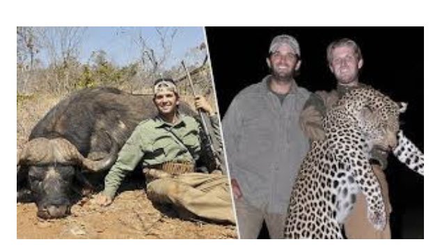 bobpoe's tweet photo. The real Hunter Scandal https://t.co/KUklcnAW0z