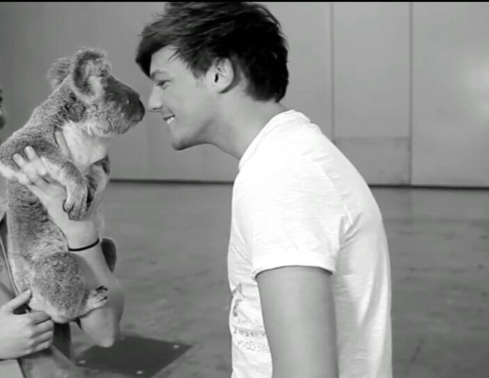 - louis tomlinson with my favorite animals; a long & cute thread
